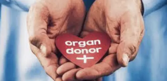 Hospitals conducting organ transplant to have permanent 'transplant coordinator' - Mohfw