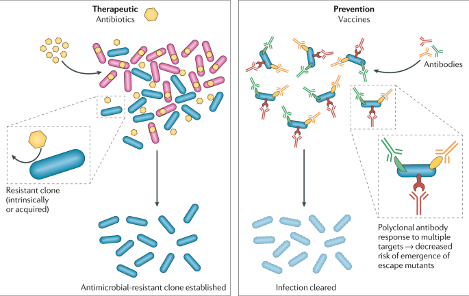 Role of Vaccines in combatting antimicrobial resistance highlighted in WHO report