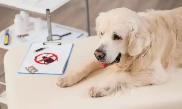 Jharkhand Targets Rabies-Free Status by 2030National Health Mission issues strict guidelines for prevention and treatment across the state