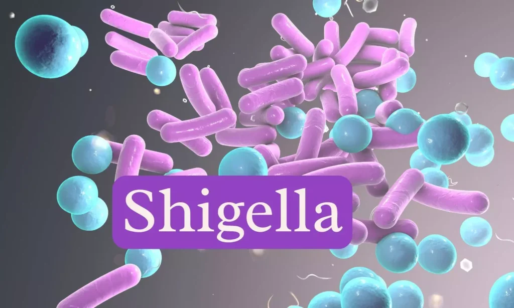 Kerala Shigella Death Toll Rises to Five After Two More Fatalities, 147 Cases Reported This Year
