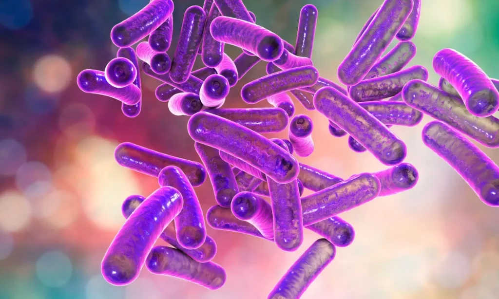 Kerala Intensifies Shigella Containment Measures After Fresh Cases; Health Department Strengthens Surveillance and Water Safety